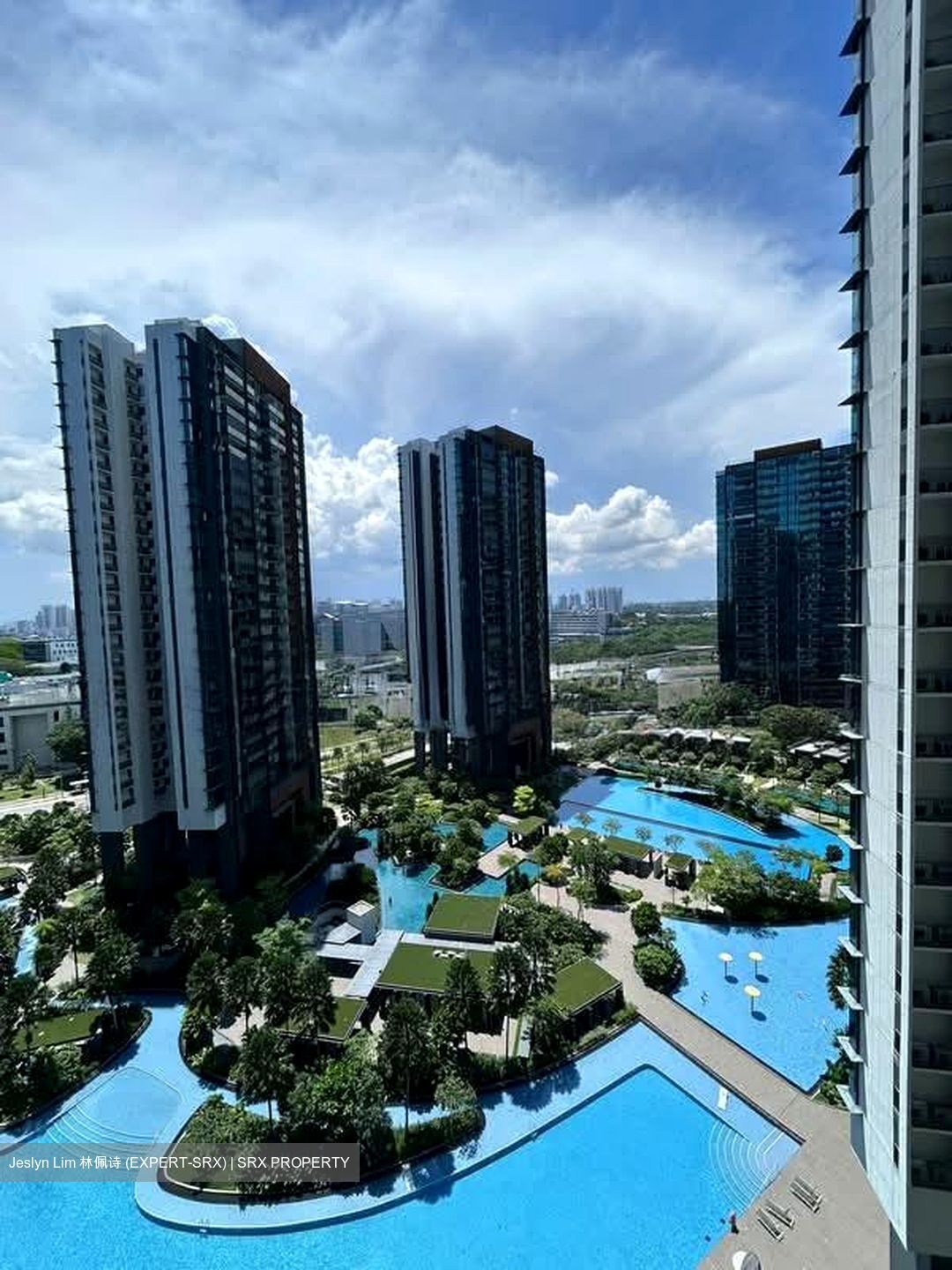 Normanton Park (D5), Apartment #555177731